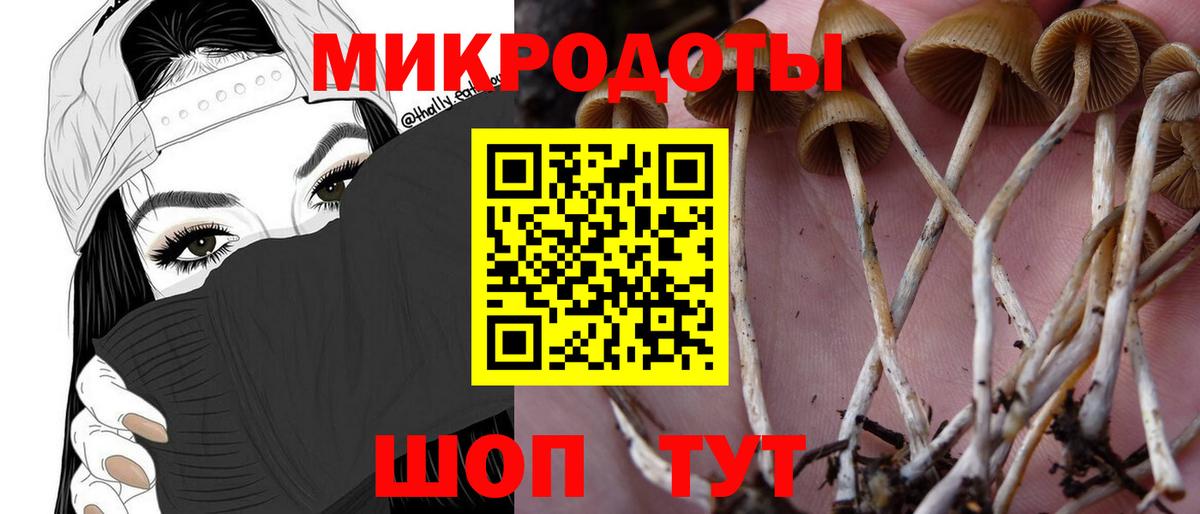 Псилоцибиновые грибы Psilocybe  Вход с VPN  Кимры 